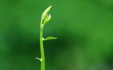 绿色出行月活动总结6篇