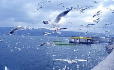旅游合同8篇