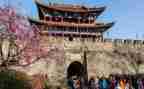 旅游主题月活动方案5篇