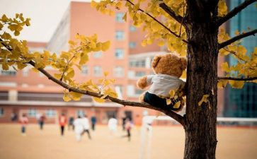 扶中考满分作文7篇