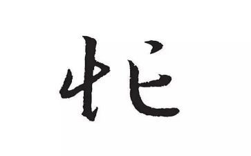 忙与闲作文800字作文通用7篇