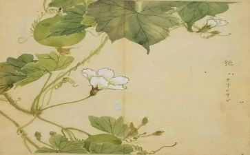 氓读后感1000字精选6篇