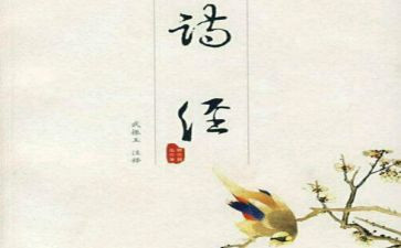 氓读后感1000字推荐5篇