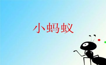 我发现了蚂蚁洞作文5篇