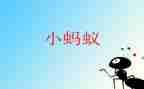 我发现了蚂蚁洞作文5篇