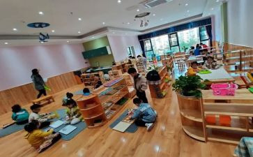 幼儿园蒙氏中班教育心得最新8篇