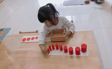 蒙氏幼儿园年度总结通用6篇