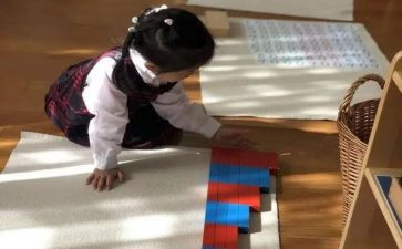 蒙氏教学幼儿个人总结7篇