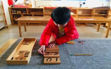 幼儿园蒙氏中班个人总结7篇