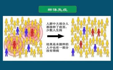 免疫规划工作总结8篇