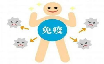 免疫组年终总结7篇