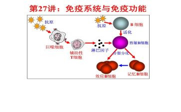 村计划免疫工作计划6篇