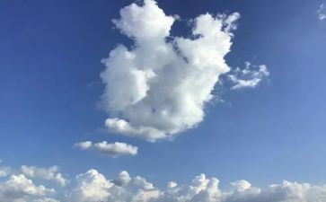 明天的我的作文8篇