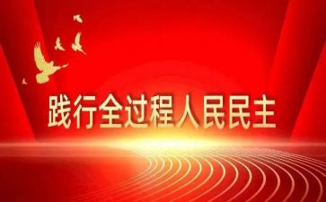 民主皮评议个人总结优质6篇