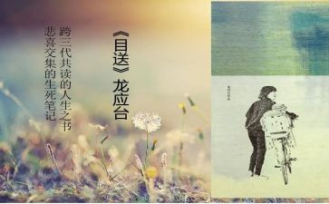 龙应台的目送读后感精选5篇