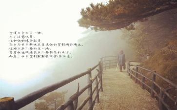 目送的心得体会8篇
