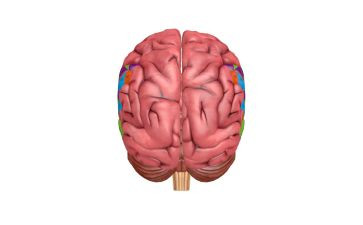 电脑员的个人总结6篇