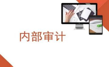 内审个人工作总结6篇