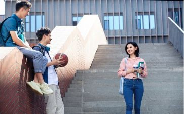 2024-2024学年少先队工作总结5篇