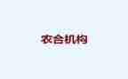 县医院农合个人总结7篇