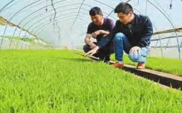 农技师个人总结优秀7篇
