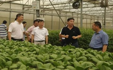 参加湘农科技教的心得体会8篇
