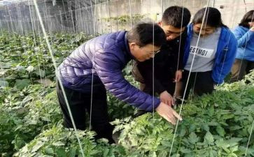 助理农艺师工作总结7篇