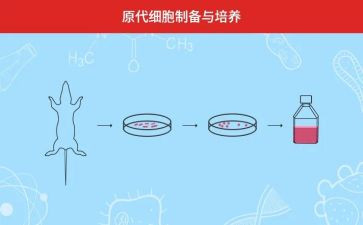 培养教育工作计划6篇