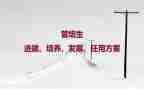 培养阅读心得8篇