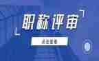 职称评审的工作总结6篇