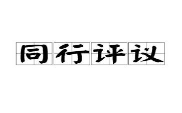 评议表个人年度总结5篇
