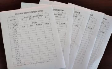 评议工作总结最新5篇