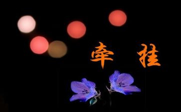 作文我最牵挂的人作文通用5篇