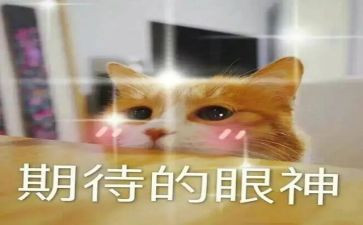 我期待作文300字参考5篇
