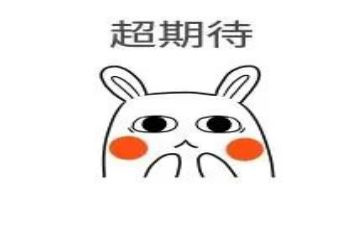 我期待作文800字精选5篇