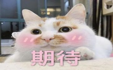 我期待作文300字优质5篇