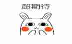 我期待作文800字精选5篇