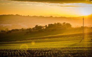 有关清晨的作文6篇