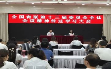 全国青联学联的心得体会6篇