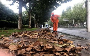 清扫日活动总结5篇