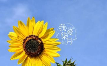 中班七月份工作总结8篇