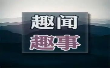 作文一件趣事7篇
