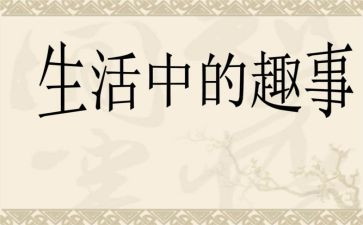 写假日趣事的作文5篇