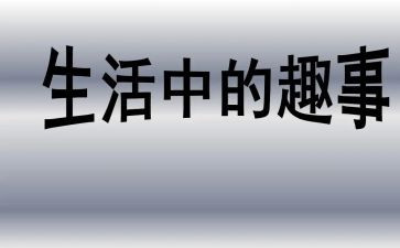 春节趣事800字作文7篇