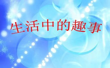 我和猫的趣事作文8篇