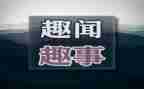 作文一件趣事7篇