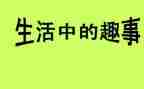 作文新年趣事300字8篇