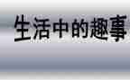 四年级作文暑假趣事400字8篇