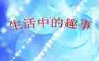 我和猫的趣事作文8篇