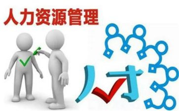 2024年人力工作总结优质5篇